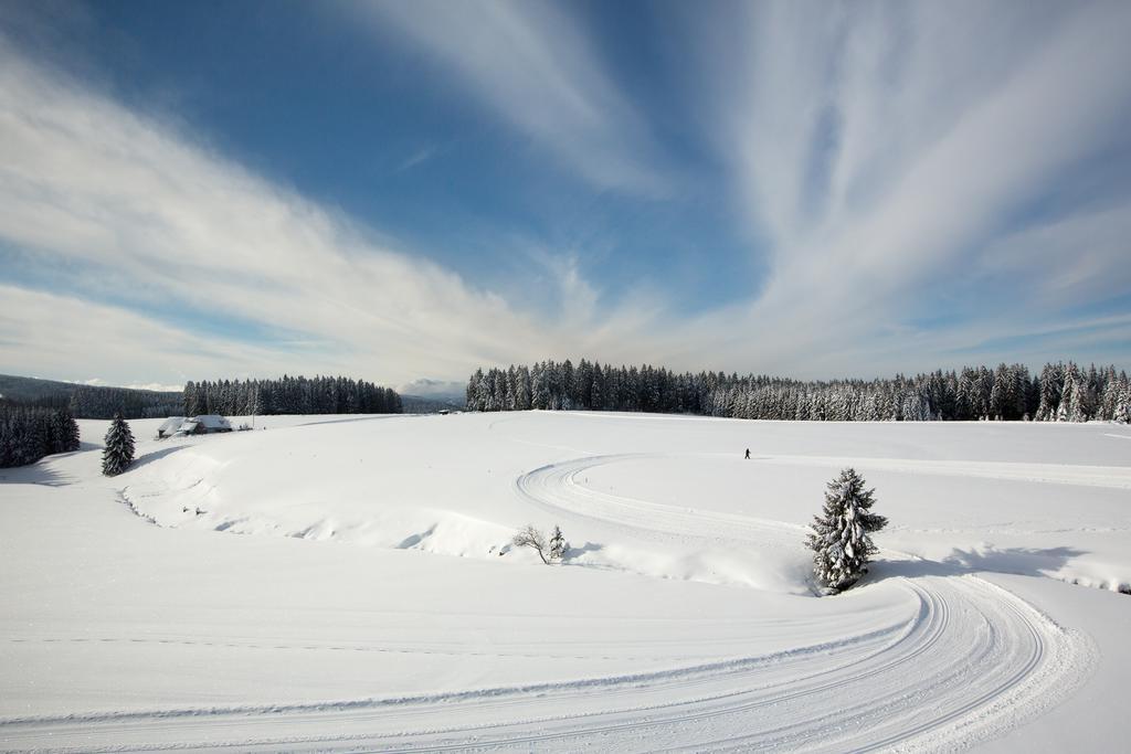 Gasthaus Zum Hirschen Furtwangen Buitenkant foto